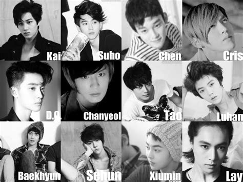 EXO Profile | ALL ABOUT KOREA
