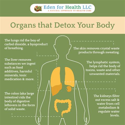 Detoxification Therapy Eden For Health