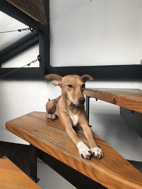 Gus Grips : r/deathgrips