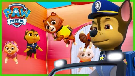 paw patrol mighty pups compilation - Youtube Kids