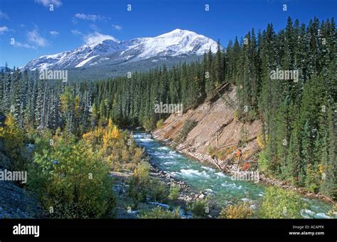 Valley in Jasper National Park, Rocky Mountains, Alberta, Canada Stock ...