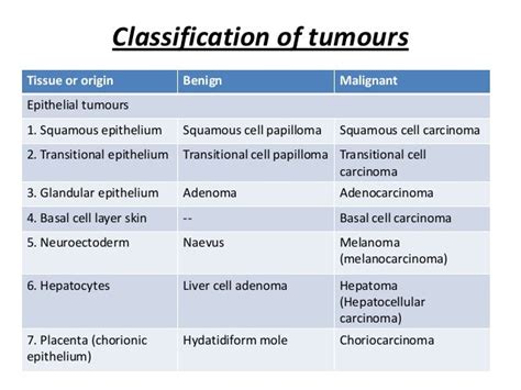 Neoplasia Characteristics And Classification Of Cancer