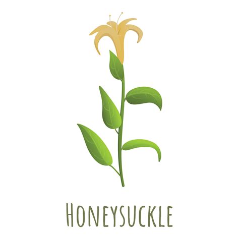 Honeysuckle plant icon, cartoon style 14225820 Vector Art at Vecteezy