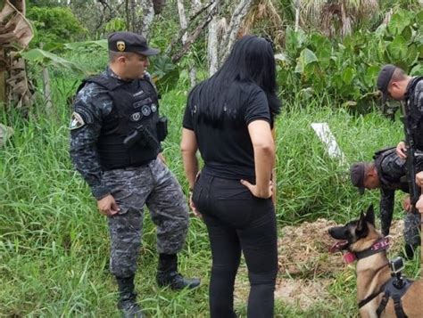 Cadela Fiona Da Pol Cia Militar Ajuda Nas Buscas De Crian A Desparecida