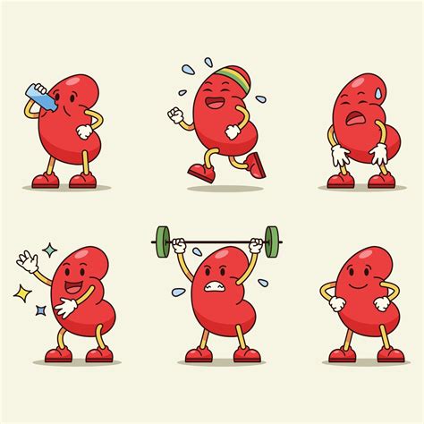 Cute Kidney Cartoon