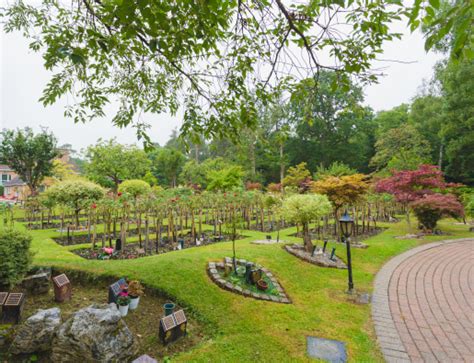 Surrey And Sussex Crematorium Dignity Crematoria Ltd