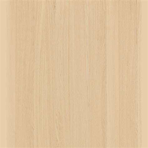 Milk Oak Shinnoki Prefinished Timber Veener | ArchiPro NZ