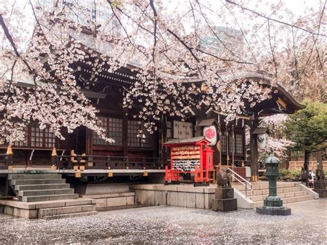 The Best Spots To Enjoy Sakura (Cherry Blossoms) In Tokyo | Sakura ...