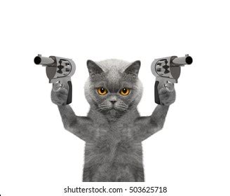 Cat Holding Gun Meme