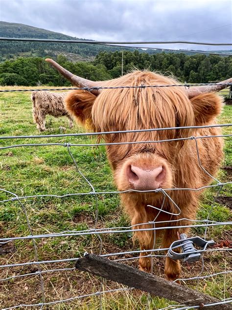 Top Europe Destinations for Summer (For Affordable Prices and Fewer