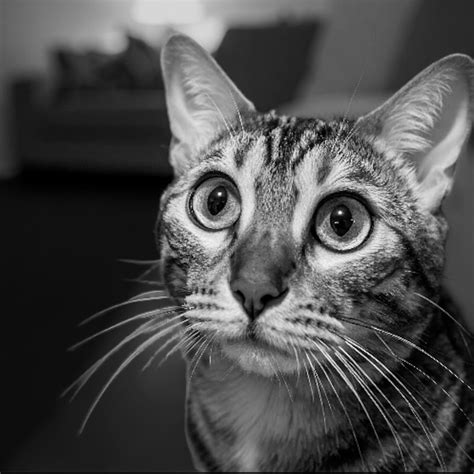 Nancy Carell Explains Why She Keeps Her Writing Process Secretive 5