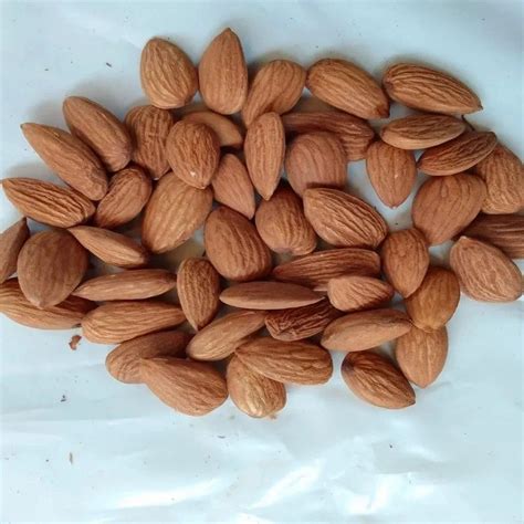 Variety Sonora Almonds Dried Brown Almond Nuts At Rs 850 Kg In Bengaluru