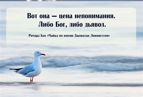 Вдохновляющие цитаты из книги Ричарда Баха «Чайка по имени Джонатан ...