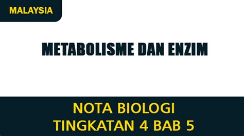 Nota Biologi Tingkatan Bab Metabolisme Dan Enzim Wislah