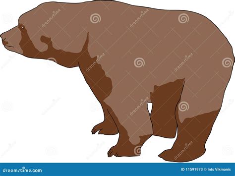 Wild Brown Grizzly Bear As Forest Habitant In Standing Pose Vector Set