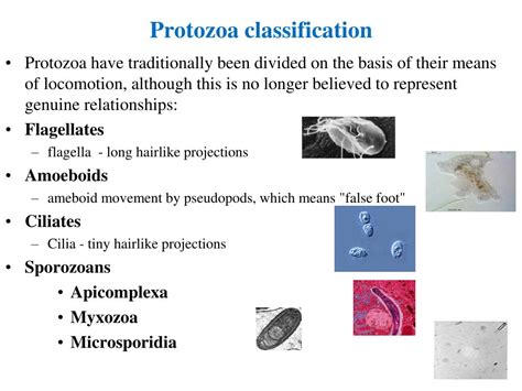 Ppt Chapter 12 Part B Powerpoint Presentation Free Download Id6702235