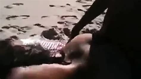 Free Miami Porn Videos Xhamster