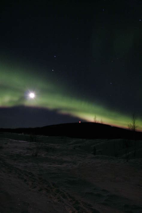 Free picture: green lights, sky, night, northern lights