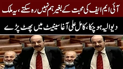 Kamil Ali Agha Important Speech In Senate YouTube