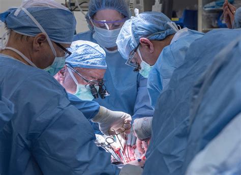 US Performs First Uterus Transplant