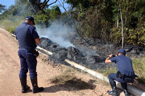 Patrulha Ambiental atendeu 1 021 ocorrências em 2017 Agência Sorocaba