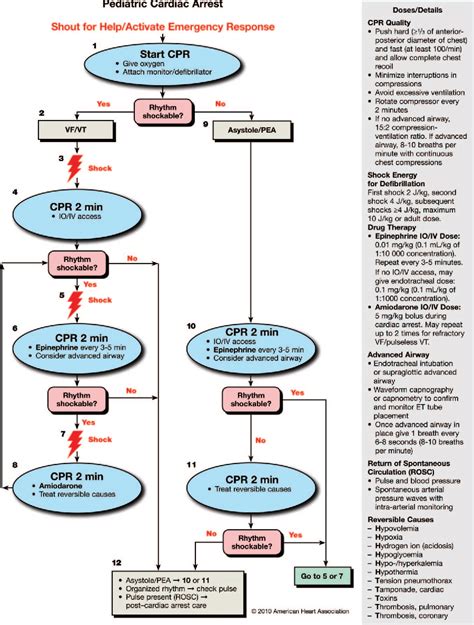 Pals Pediatric Advanced Life Support Algorithms