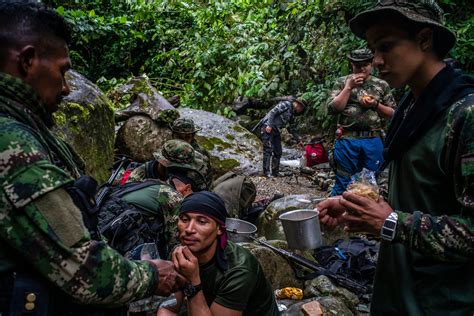 La Colmena Colombia El Regreso A Las Armas De Los Guerrilleros De Las