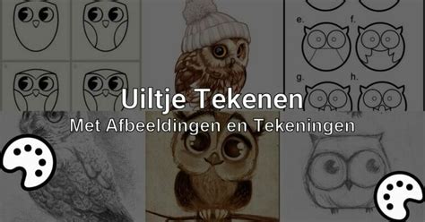 Uiltje Tekenen Met Afbeeldingen En Tekeningen Tekenen Nu