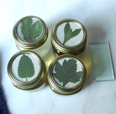 Herb Infused Syrups | deb's pots