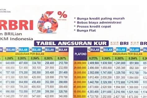 Tabel Angsuran KUR BRI 2023 Terbaru Syarat Pinjaman Tanpa Jaminan