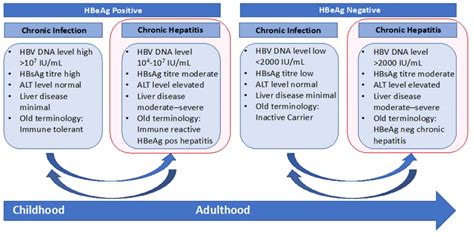 Cells Free Full Text Point Of Care Tests For Hepatitis B An Overview