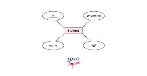 What Is Er Model In Dbms Scaler Topics