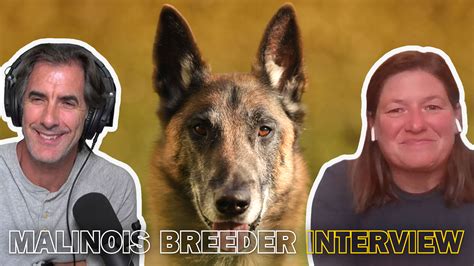 My Favorite Belgian Malinois Breeder - Podcast Episode 61 - Robert Cabral