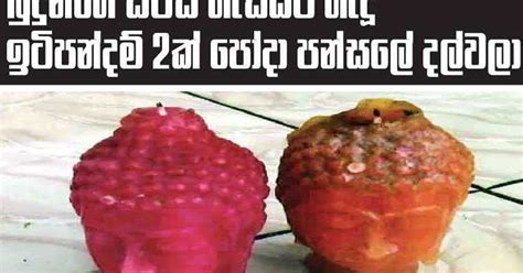 Mini Gossip Gossip Lanka News Hot Gossip Hiru Gossip