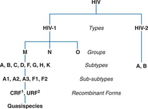 Establishing The Diagnosis Of HIV Infection Oncohema Key