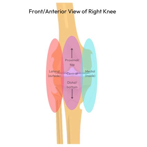 Common Causes And Solutions To Cycling Related Knee Pain Myvelofit