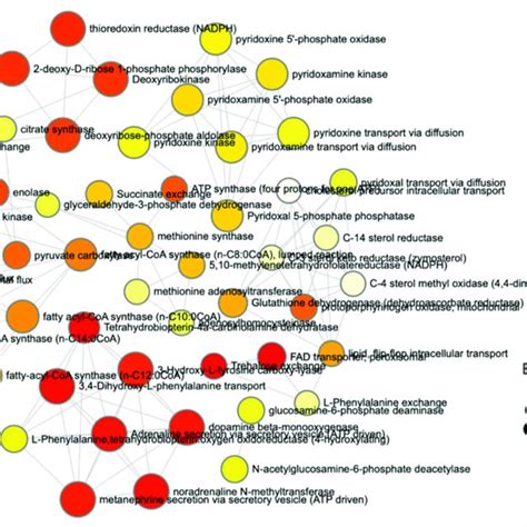 Log Transformed Pathway Analysis Of Sex And The Metabolome Data Is