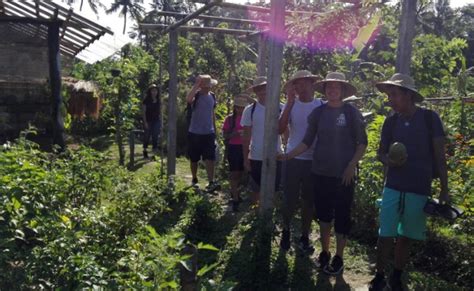 Bali Mai Organic Farm Tour Bumi Journey