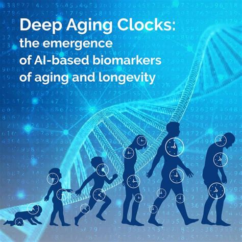 Deep Aging Clocks The Emergence Of Ai Based Biomarkers Of Aging And