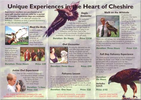 Chester Tourist - Bird of Prey Centre