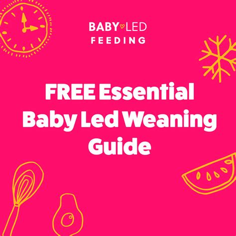 How to start Baby Led Weaning - A Complete Guide for Parents - Baby Led ...