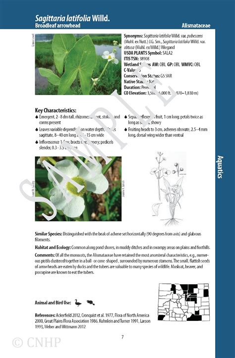 Cnhp Blog Pre Order The New Wetland Plant Field Guide