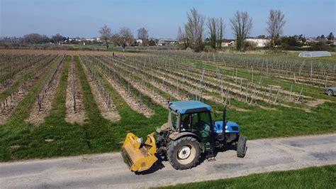 Broyage Des Sarments NEW HOLLAND T4050F BROYEUR GIMBRE YouTube