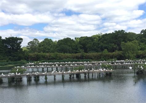 Obits new iberia la records show a vibrant local history 31