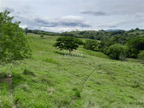 Venta Finca Ganadera Fredonia Suroeste Antioque O