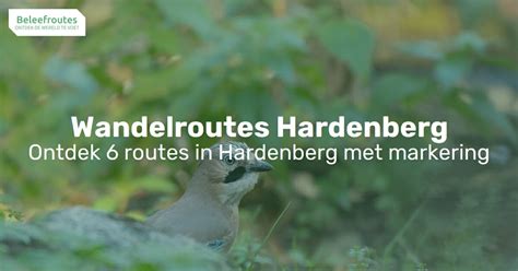 Top 6 Wandelroutes In Hardenberg Ontdek En Beleef