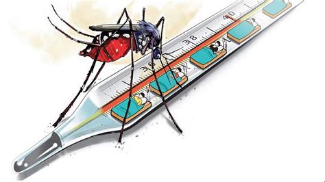 Dengue Cases On The Rise In Hyderabad