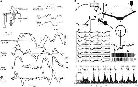 Brain-Machine Interfaces beyond Neuroprosthetics: Neuron