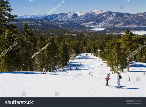 20,051 Big bear winter Images, Stock Photos & Vectors | Shutterstock