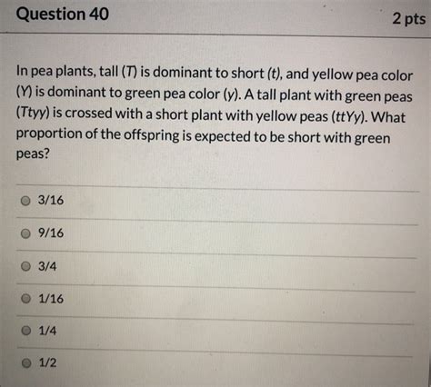 Solved Question 40 2 Pts In Pea Plants Tall T Is Dominant